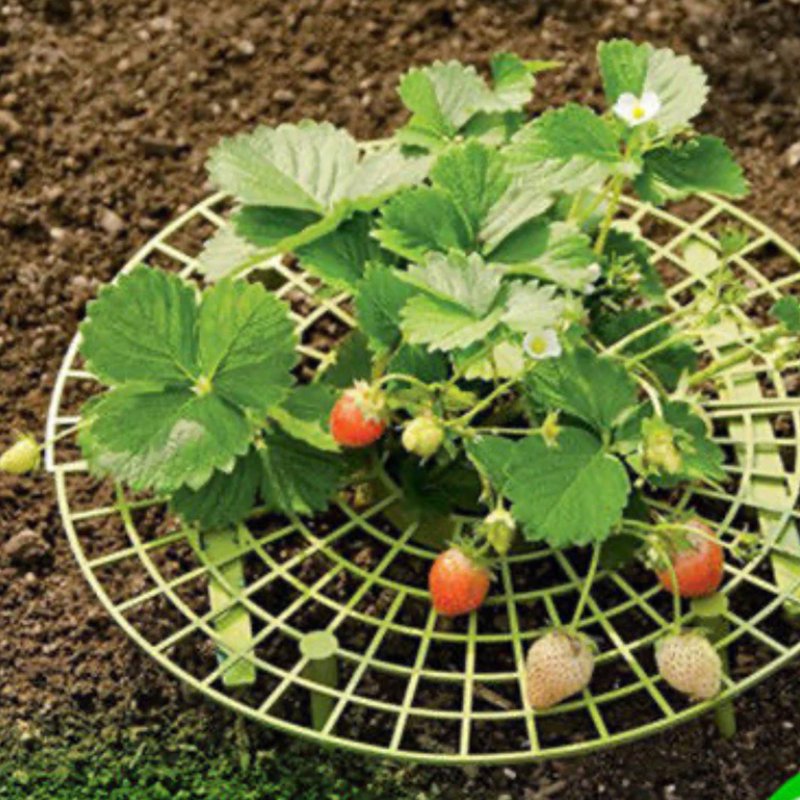 Strawberry Stand Frame Holder 5/10/15/20 Balcony Planting Rack Fruit Support Plant Flower Climbing Vine Pillar Gardening Stand
